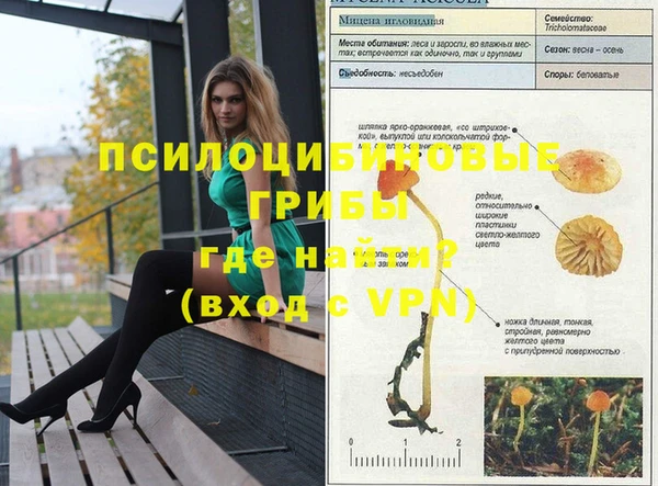 мет Алексеевка