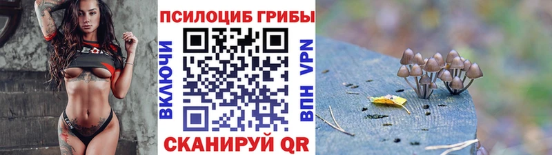 Псилоцибиновые грибы мицелий  Билибино 